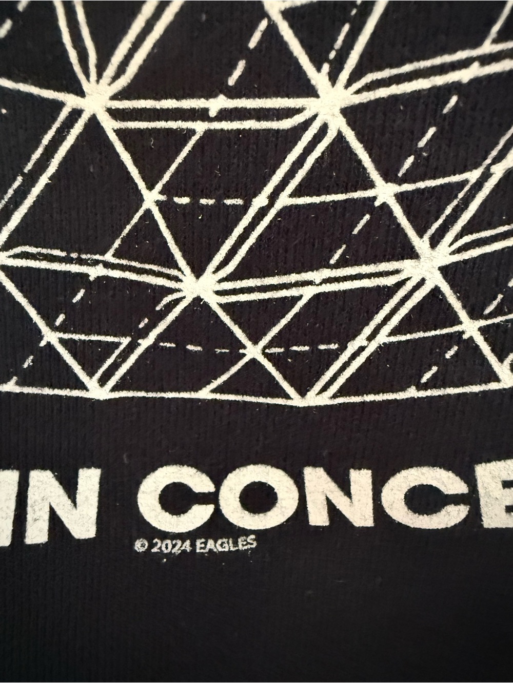 Eagles The Long Goodbye Sphere Las Vegas Concert Hoodie - Picture 6 of 7